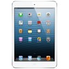 Apple iPad mini 16Gb Wi-Fi + Cellular белый - Слободской